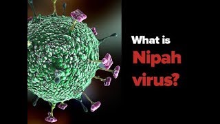 Nipah virus outbreak in Kerala India