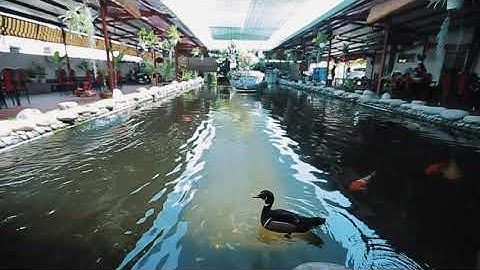 Hồ câu tôm _ Ẩm Thực Sân Vườn Thanh Đa.