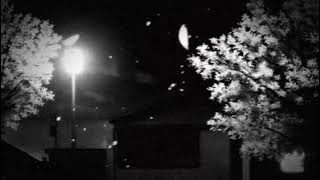 The Tulips - still love you (todavía) (slowed   reverb)