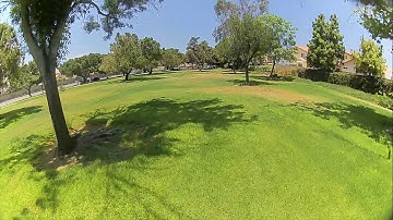 Caddx Turtle Camera Sample #1 🐢📷