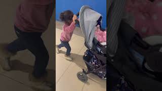 Jiya Taking Raya On Walk