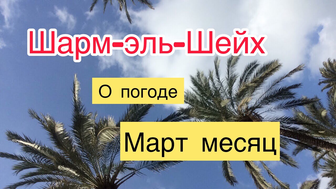 шармаль-шейх отели. средняя температура в шарм эль шейхе по месяцам. шарм шейх погода в марте 2024. шарм шейх погода в марте 2024. море в шарм эль шейхе сейчас.