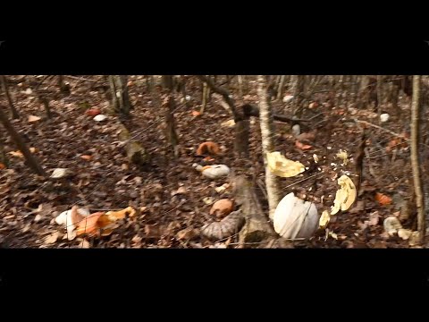 punkin chunkin 2023 pt 2