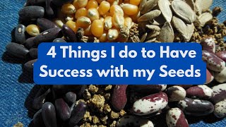 4 Things I do to Have Success with my Seeds