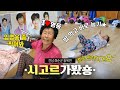 [남도지오그래픽] 🌈시고르가봤숑 EP.02 전남 화순군 동복면 (feat. 임영웅님💟) | KBS 220628 방송