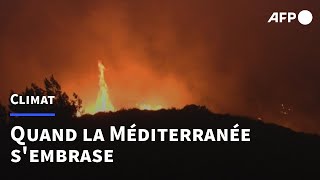 Les pays de la zone Méditerranée luttent contre chaleurs et incendies suffoquants | AFP