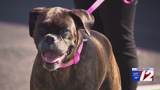 Dog alerts family to Coventry house fire