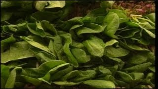 Voluntary recall of baby spinach