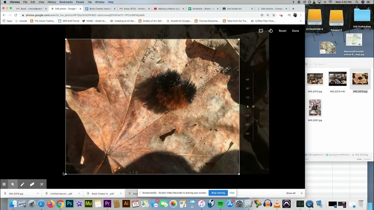 Cropping Using Google Photos YouTube