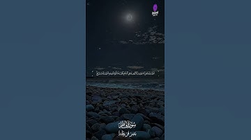 بصوتٍ عذب وإحساسٍ نادر.. استمع لتلاوة خاشعة من الشيخ عمر قريطنة 🎧