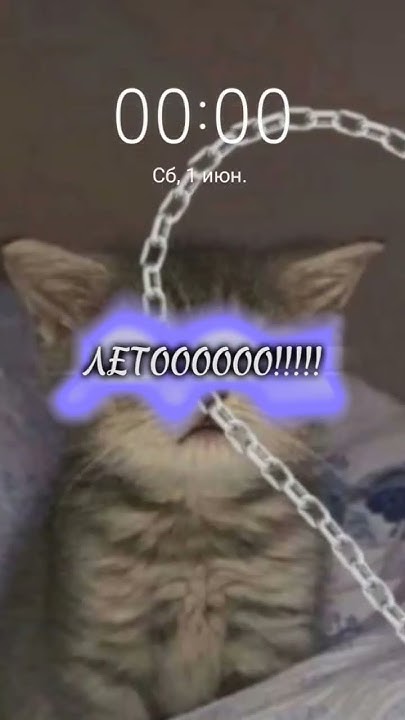 [00:04]-ЧТО?!?! КАНИКУЛЫ, ЗАВТРА В ШКОЛУ НЕ ПОЙДУ))) ЛЕТООООООООО ...