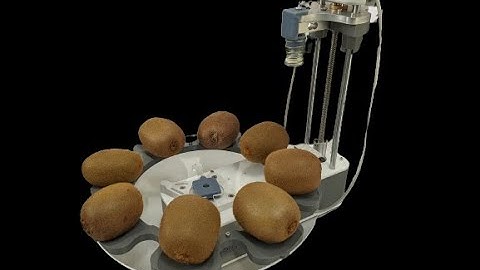 Agrosta Wonderfast testing kiwi maturity (firmness) automatically