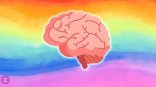 The Brain's Connection to Sexual Orientation