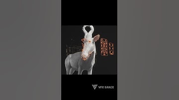 You think this is a real impala? It