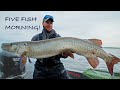 5 FISH MORNING! (Crazy Musky Action) Guiding on LOTW