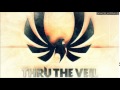 Thru the Veil - Broken Promise