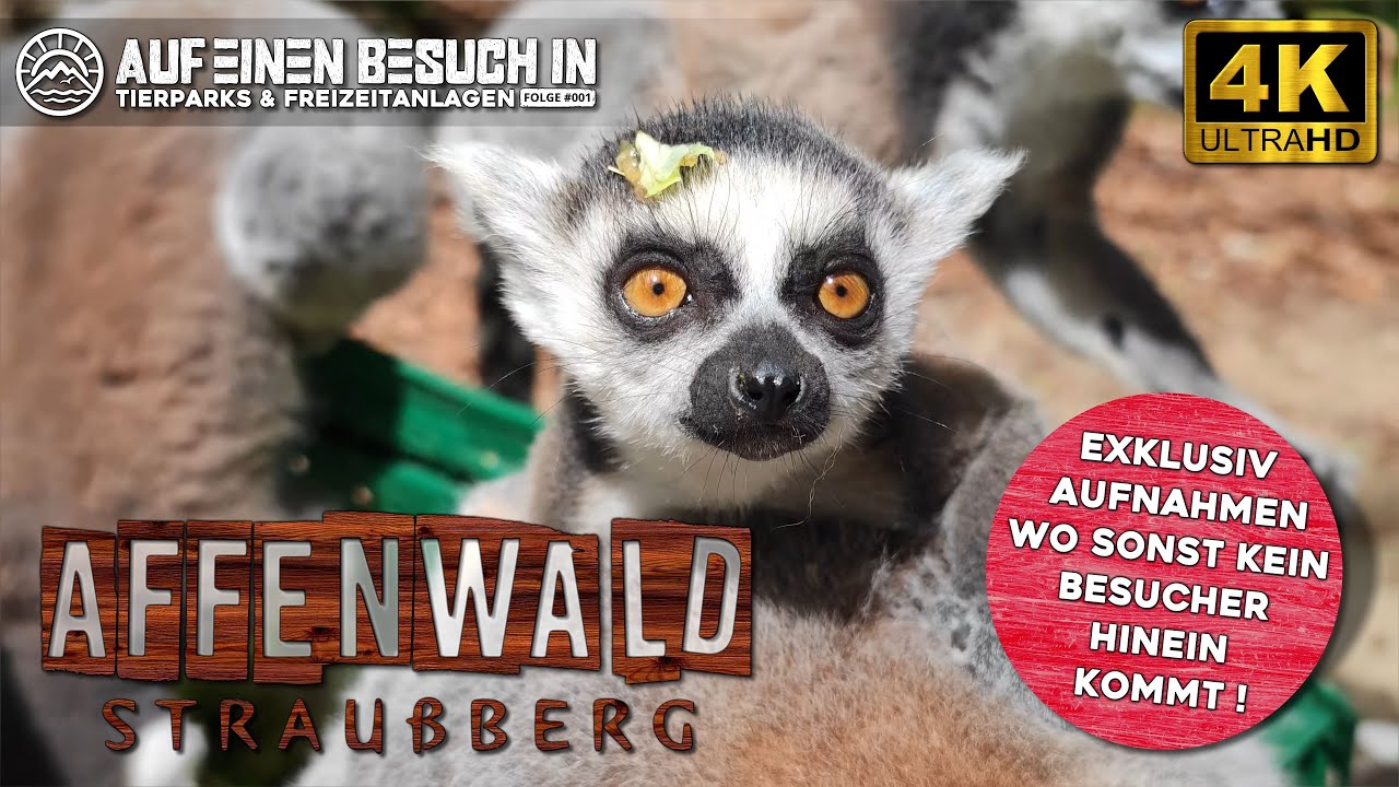 Auf ein Besuch in... # Folge 1 - Affenwald Straußberg