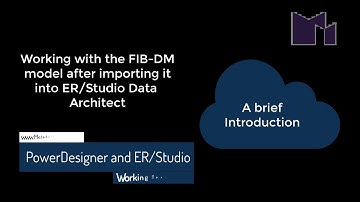 Working with the FIB DM model after importing it into ER/Studio Data Architect - the short version