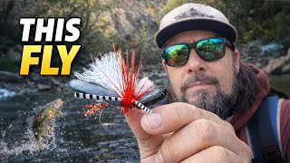 Trout Crush This Dry Fly Tenkara Fishing a Wild Utah Creek...