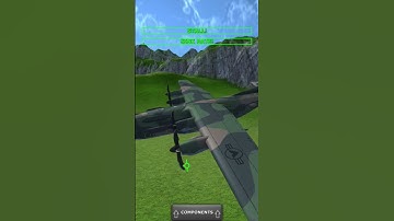 My plane if it played Gorilla Tag for 6 hours