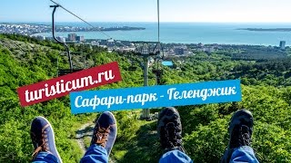 Сафари-парк в Геленджике