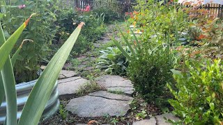 Chatty June Garden Tour with Cyd | Zone 8 | Down the Stone Path to Fruits and Flowers