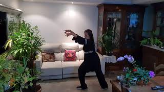 shaolin-chan-yuan-gong-routine-1-9-shao-lin-shan-yuan-gong-qi-gong-excercises -  22 de junho de 2020