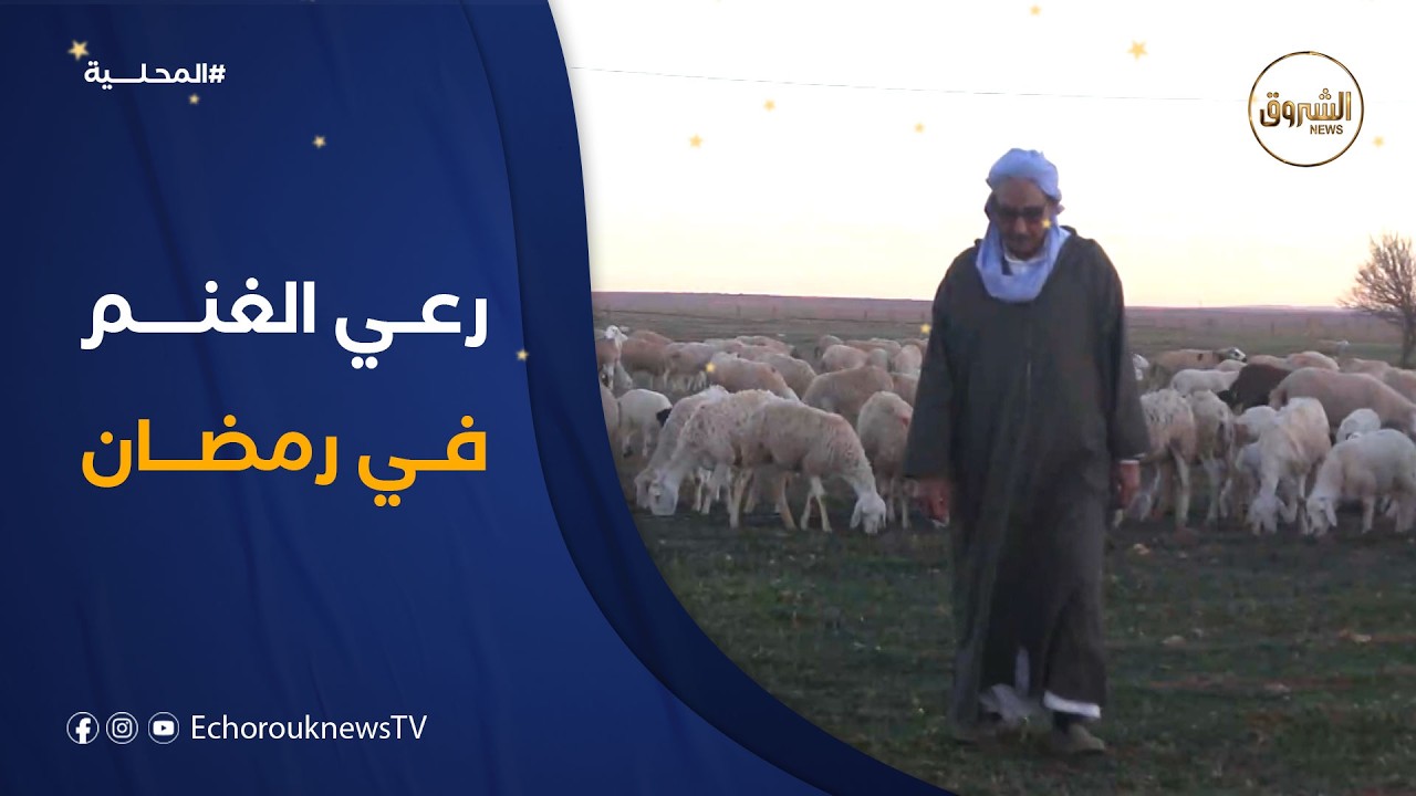 رعي الغنم في #رمضان .. الحاج محمد خصراوي من #النعامة  بين تحدي قساوة الطبيعة ومشقة #الصيام