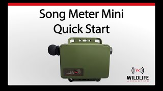 Song Meter Mini - Quick Start Guide | Identify and Analyze Animal Sounds