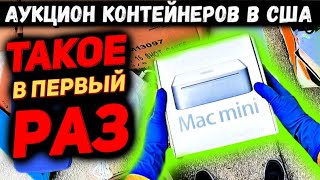 Купили Контейнер На Аукционе В СЛЕПУЮ! Повезёт в Этот Раз или Полный ПРОВАЛ? GOLD, Apple Mac Mini