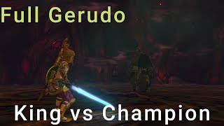 Gerudo Link takes on the Gerudo King - TOTK