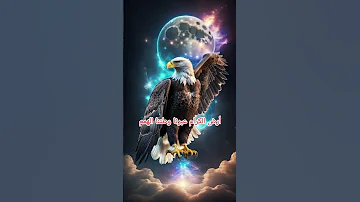 طير الشوق بالغ سلام قصيده شعر بوح كلام من ذهب 
