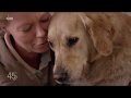 Haustier Hund: Wahnsinn oder Liebe?  (45 Min - NDR-Reportage)