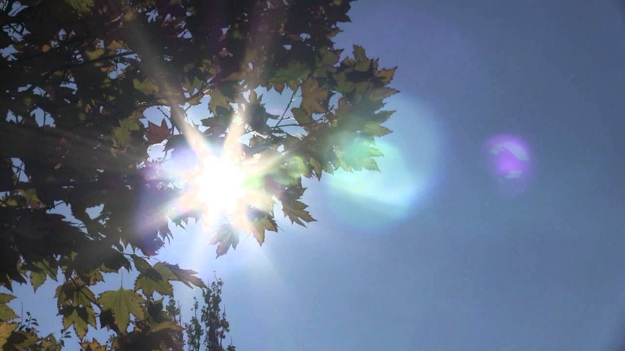 футаж луч солнца - YouTube