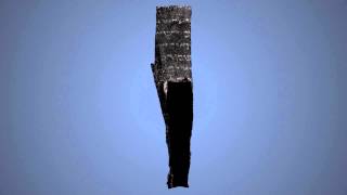 Ein Gedi Scroll - Rotation Loop