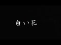 白い花 松山千春さん