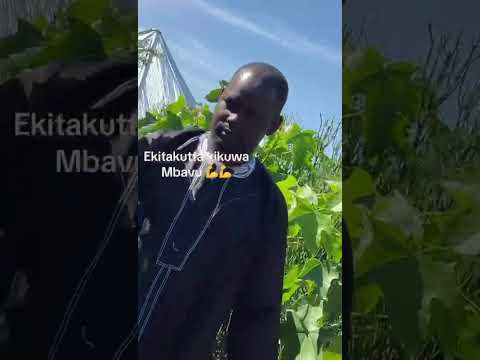 Oloota Kabaka Yena Nga Ozaala Enyanja Ne Nsozzi Tukwaniriza Mu Lubiri Lw Abalangira N Abambejja