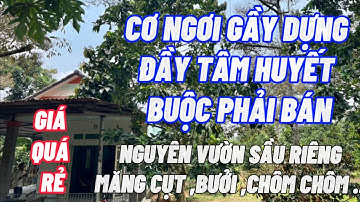 (Giá mới 5tỷ2)Cần Nhượng Lại Nhà Vườn Đầy Tâm Huyết Vì Lớn Tuổi Không Có Sức Khoẻ Để Chăm Sóc ở BRVT