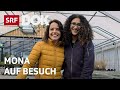 Wie geht es den Gehörlosen heute? | Mona mittendrin – Update 2020 | Doku | SRF DOK