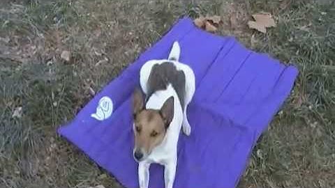 CU: Snap demos relaxing on mat and off-switch game