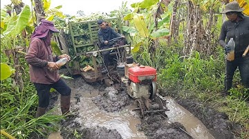 xe công nông 2 cầu chở chuối qua lầy cực khỏe part5