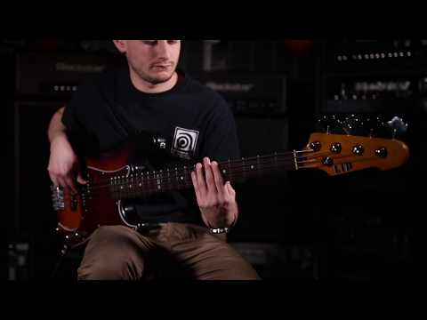 Ampeg BA-115 - A Quick Look With Ampeg Australia