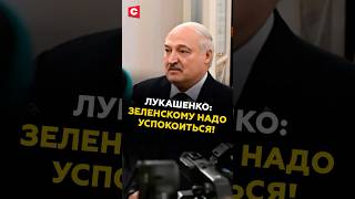 Лукашенко: Зеленскому надо успокоиться! #лукашенко #путин #зеленский #новости #политика #россия