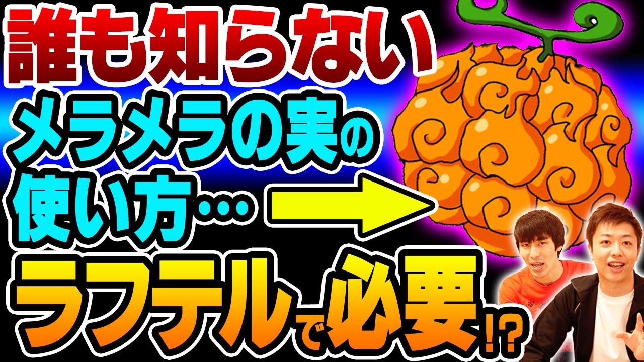 サボから引き継いだメラメラの実の能力者のナミビアのゴミムシダマシ 標本 エースからサボに受け継がれたメラメラの能力！最終章で”炎”が極めて