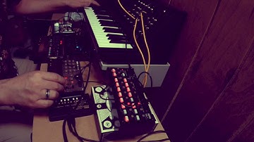 Synth Jam feat. Korg MS-20 Mini, SQ-1, Monotron Delay, Volca Keys, FM, Mix, Sample (OK GO)