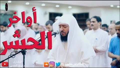اواخر سوره الحشر  للشيخ وديع اليمني💞🌸