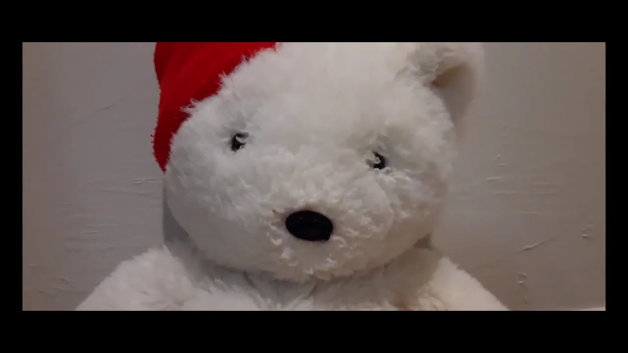 Teddy's Workout Routine - YouTube