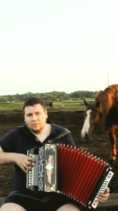 Любэ - Конь. #гармонь #музика #топ #folk #музыка - YouTube