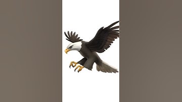 Ur not an eagle #shorts #countryballs #memes #countryballanimation #flipaclip #animation
