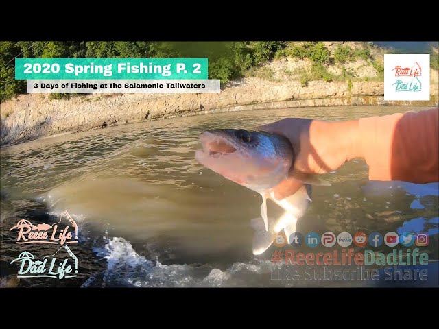 Dad Life Spring Salamonie Reservoir Tailwaters Fishing Part 2 - 3 Days - Crappie Catfish Walleye class=